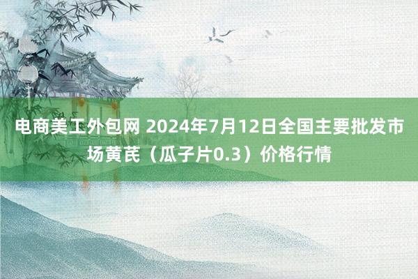 电商美工外包网 2024年7月12日全国主要批发市场黄芪（瓜子片0.3）价格行情