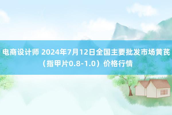 电商设计师 2024年7月12日全国主要批发市场黄芪（指甲片0.8-1.0）价格行情