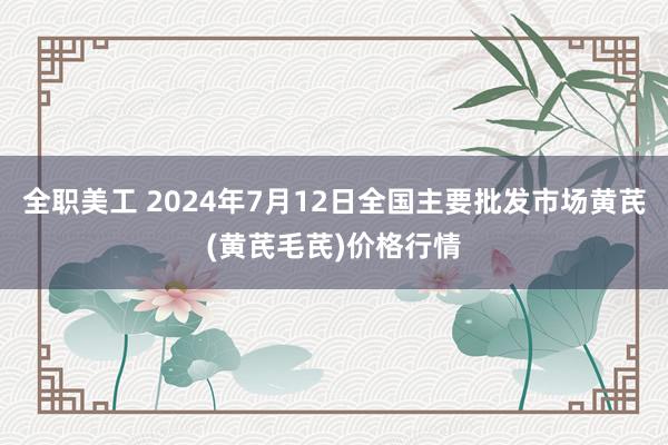 全职美工 2024年7月12日全国主要批发市场黄芪(黄芪毛芪)价格行情