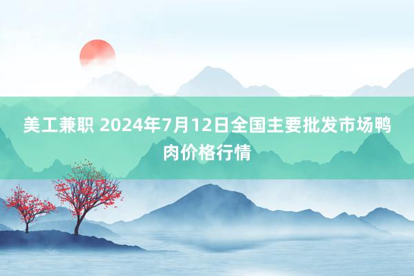 美工兼职 2024年7月12日全国主要批发市场鸭肉价格行情