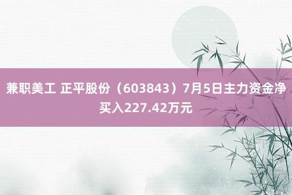 兼职美工 正平股份（603843）7月5日主力资金净买入227.42万元