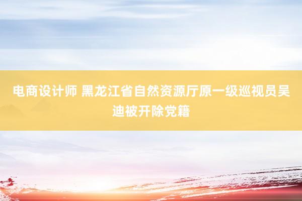 电商设计师 黑龙江省自然资源厅原一级巡视员吴迪被开除党籍