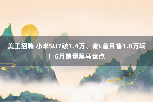 美工招聘 小米SU7破1.4万、秦L首月售1.8万辆！6月销量黑马盘点